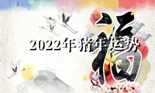 2022年猪年运势