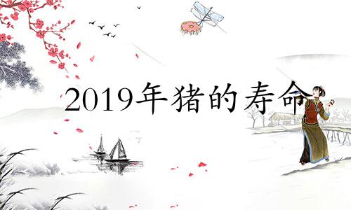 2019年猪的寿命