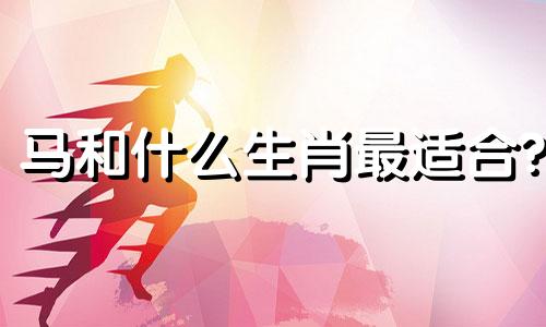 马和什么生肖最适合?