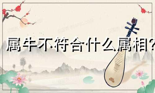 属牛不符合什么属相?