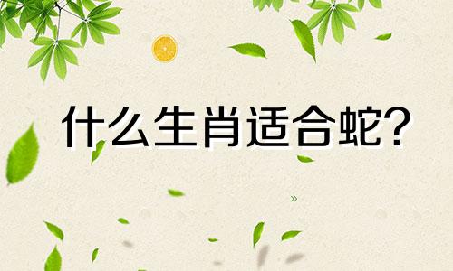 什么生肖适合蛇?