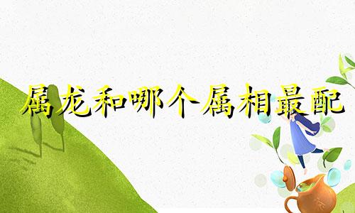 属龙和哪个属相最配