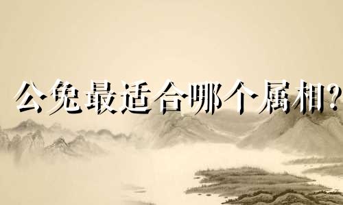 公兔最适合哪个属相?