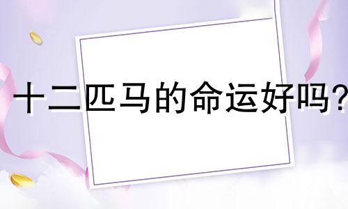 十二匹马的命运好吗?
