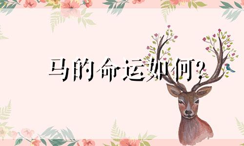 马的命运如何?