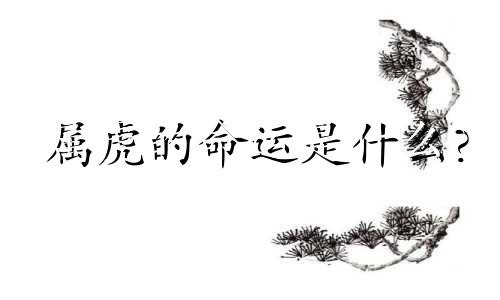 属虎的命运是什么?