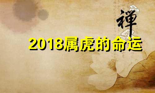 2018属虎的命运