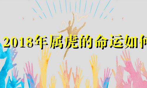 2018年属虎的命运如何?