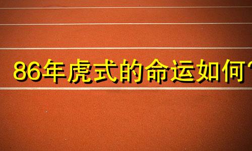 86年虎式的命运如何?