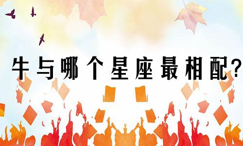 牛与哪个星座最相配?