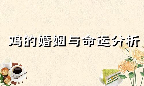 鸡的婚姻与命运分析