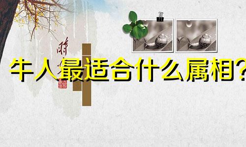 牛人最适合什么属相?
