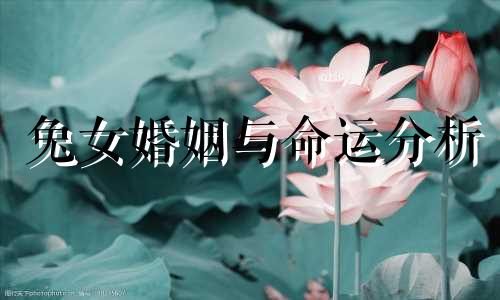 兔女婚姻与命运分析