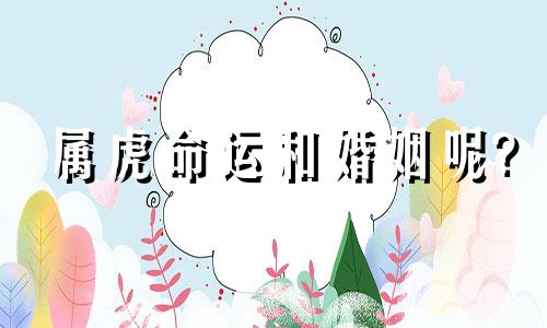 属虎命运和婚姻呢?