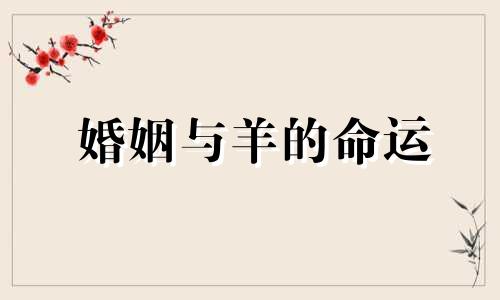 婚姻与羊的命运