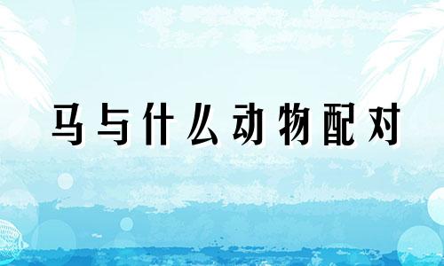 马与什么动物配对