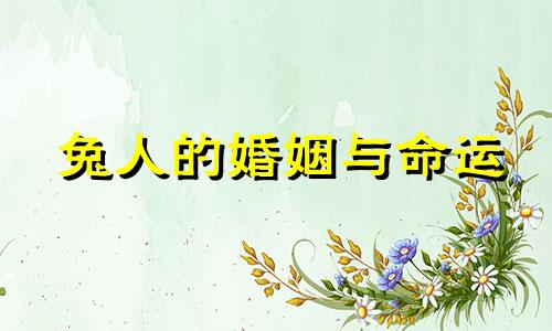 兔人的婚姻与命运