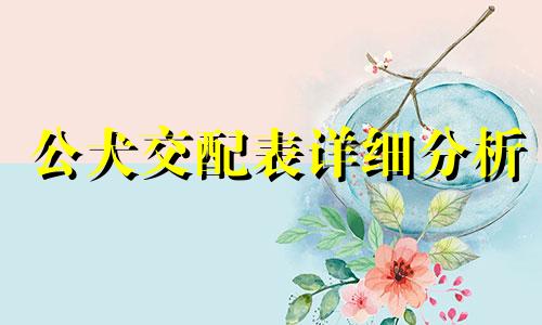 公犬交配表详细分析