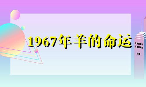 1967年羊的命运