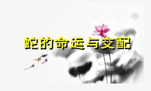 蛇的命运与交配