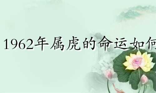 1962年属虎的命运如何?
