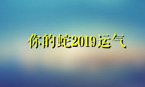 你的蛇2019运气