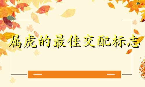属虎的最佳交配标志