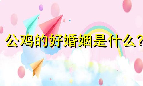 公鸡的好婚姻是什么?