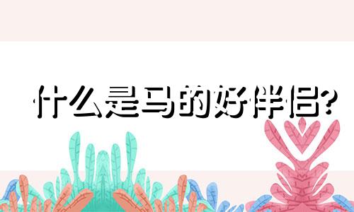 什么是马的好伴侣?