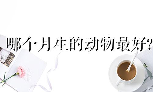 哪个月生的动物最好?