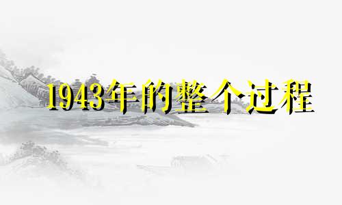 1943年的整个过程