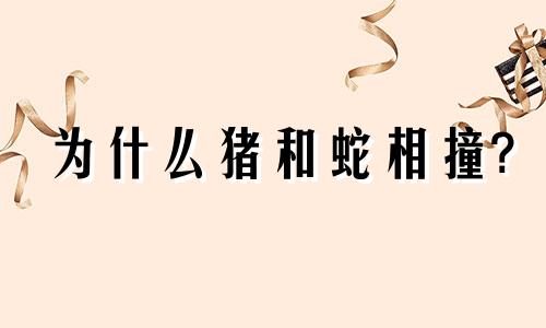 为什么猪和蛇相撞?