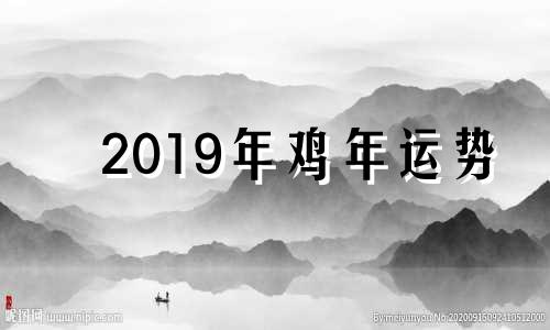 2019年鸡年运势