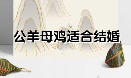 公羊母鸡适合结婚