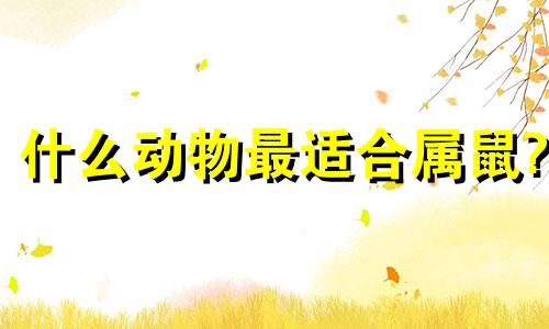 什么动物最适合属鼠?