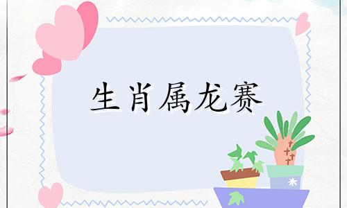 生肖属龙赛