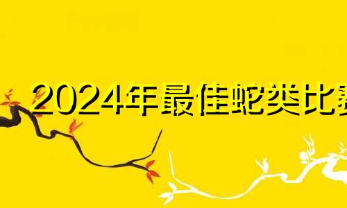 2024年最佳蛇类比赛