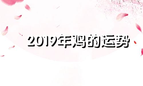 2019年鸡的运势