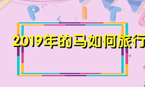 2019年的马如何旅行