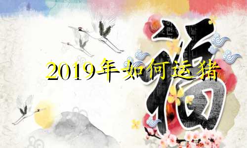 2019年如何运猪