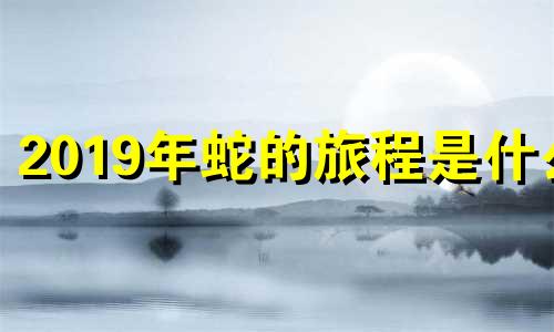 2019年蛇的旅程是什么