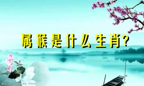 属猴是什么生肖?