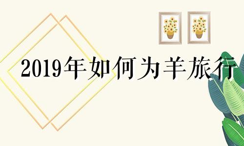 2019年如何为羊旅行