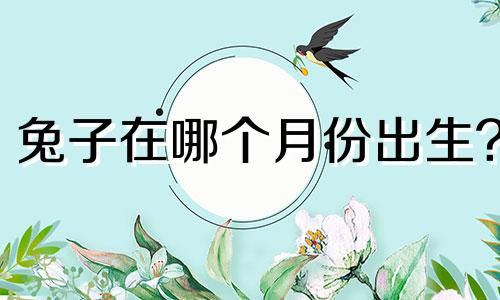 兔子在哪个月份出生?