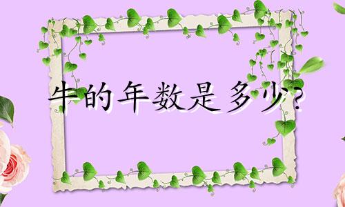 牛的年数是多少?