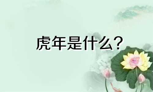 虎年是什么?