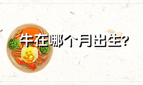 牛在哪个月出生?