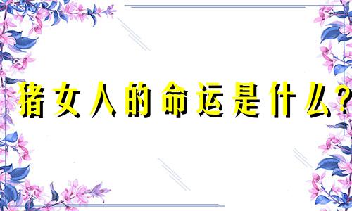 猪女人的命运是什么?