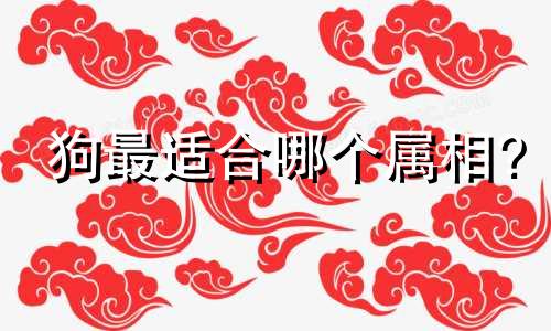 狗最适合哪个属相?