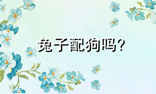 兔子配狗吗?